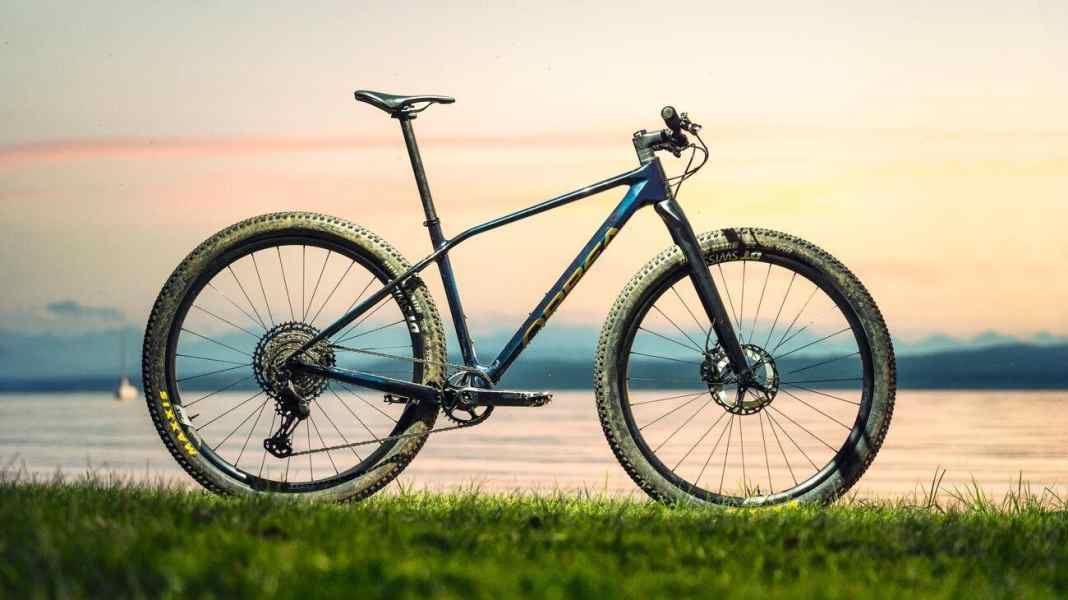 BIKE 11/20 – mit diesen Bikes im Test