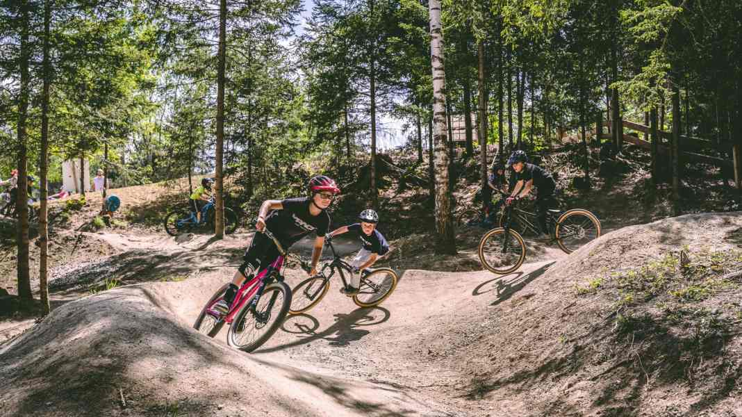 Teile und Zubehör für Nachwuchs-Shredder