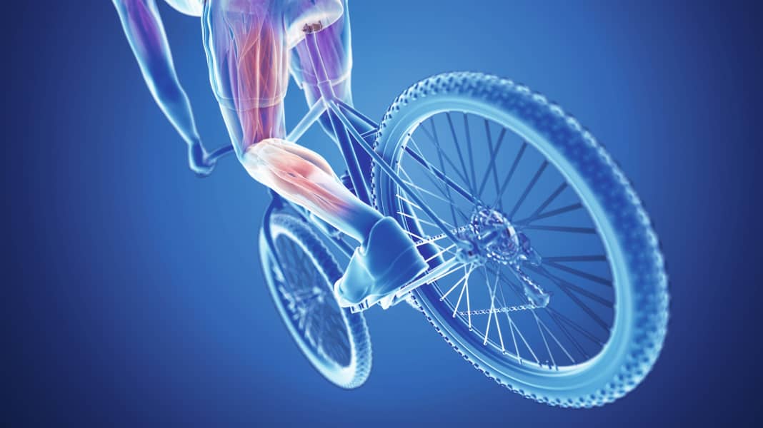 So wird man Knieschmerzen beim Biken los