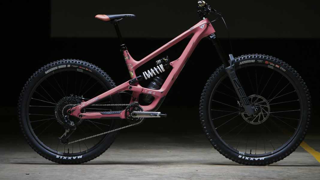 Männer, die auf Ziegen starren