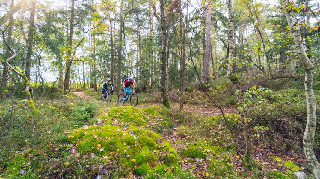 GPS-Daten zur 3-tägigen Trans-Bayerwald