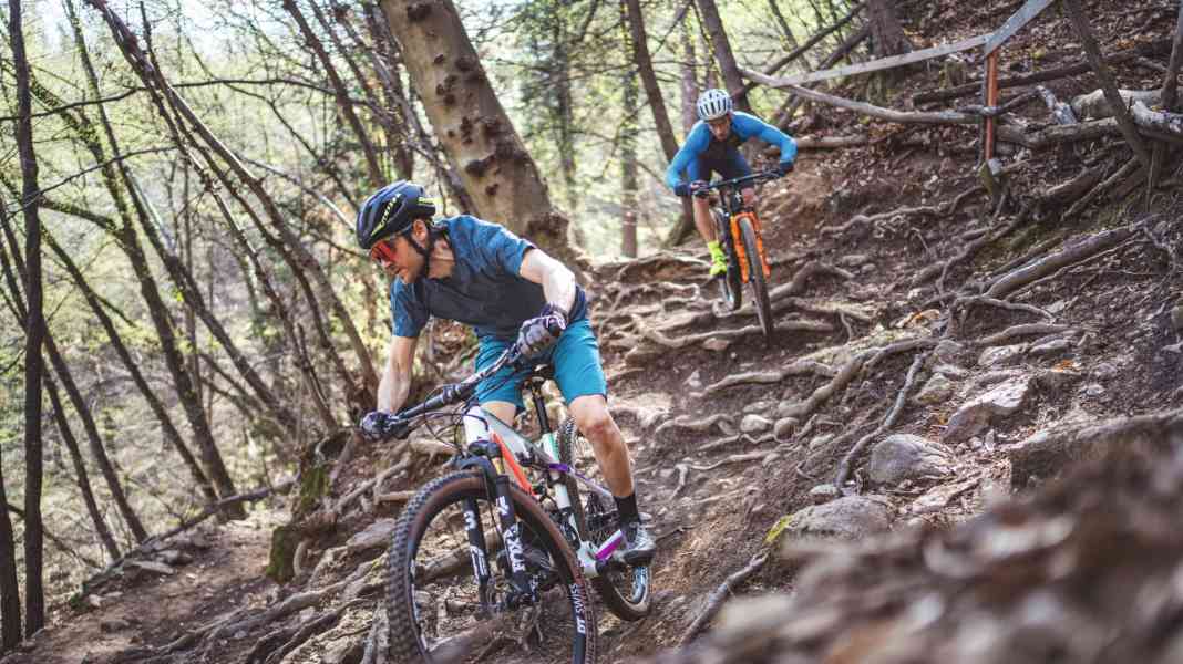 Antriebsstark: Wilier Urta SLR im Test