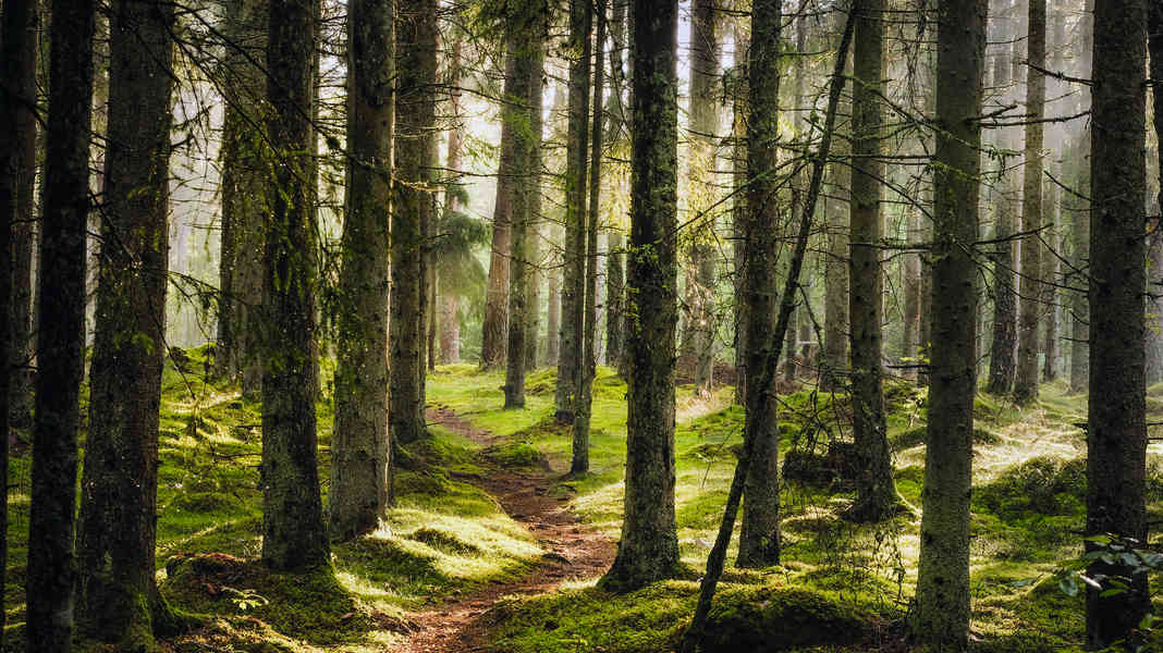 Naturschutzbund (NaBu) reagiert auf BIKE-Artikel: MTB-Einschränkungen nur eine Formulierungs-Panne?