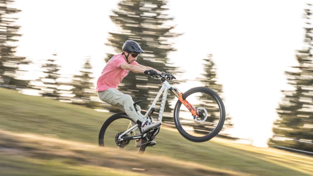 Schnapper im Februar: Diese drei Bio-Bikes solltet ihr auf dem Schirm haben