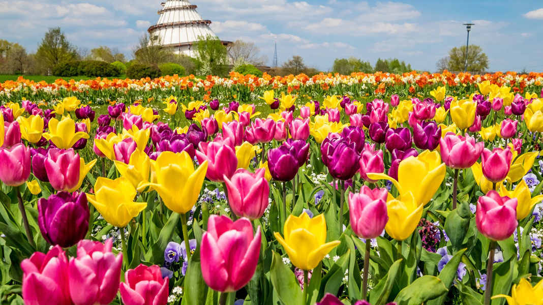 Mit‘s Rad nach Paradies - MYBIKE Place to be