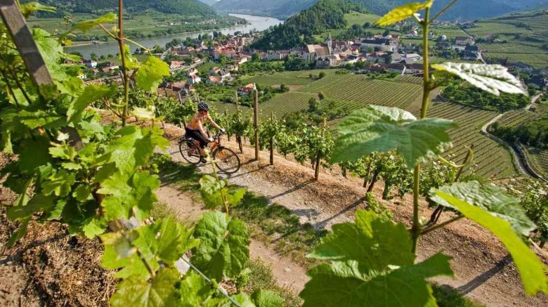 Radreise von Frankfurt ans Schwarze Meer