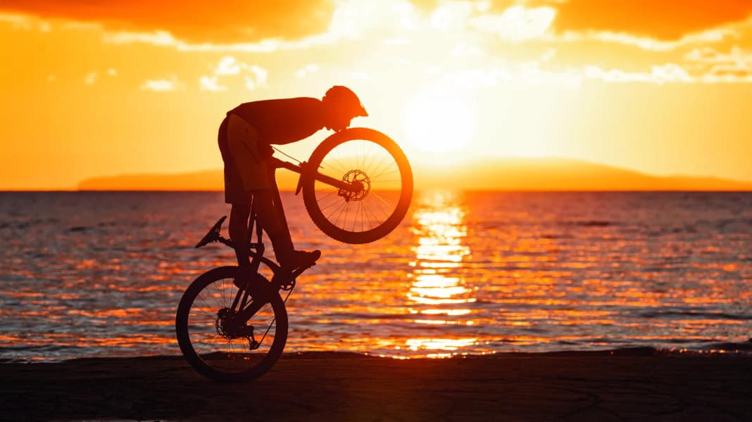 MTB Reifen-Test: Was sind die besten Modelle für Trailbikes?