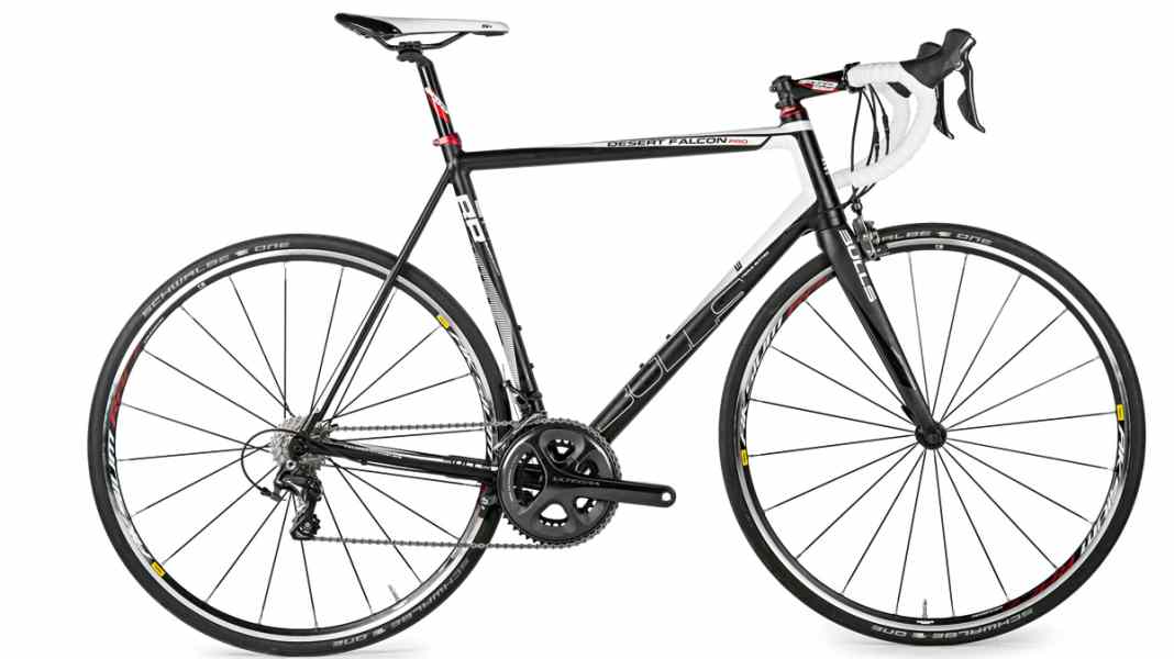 Bulls Desert Falcon Pro