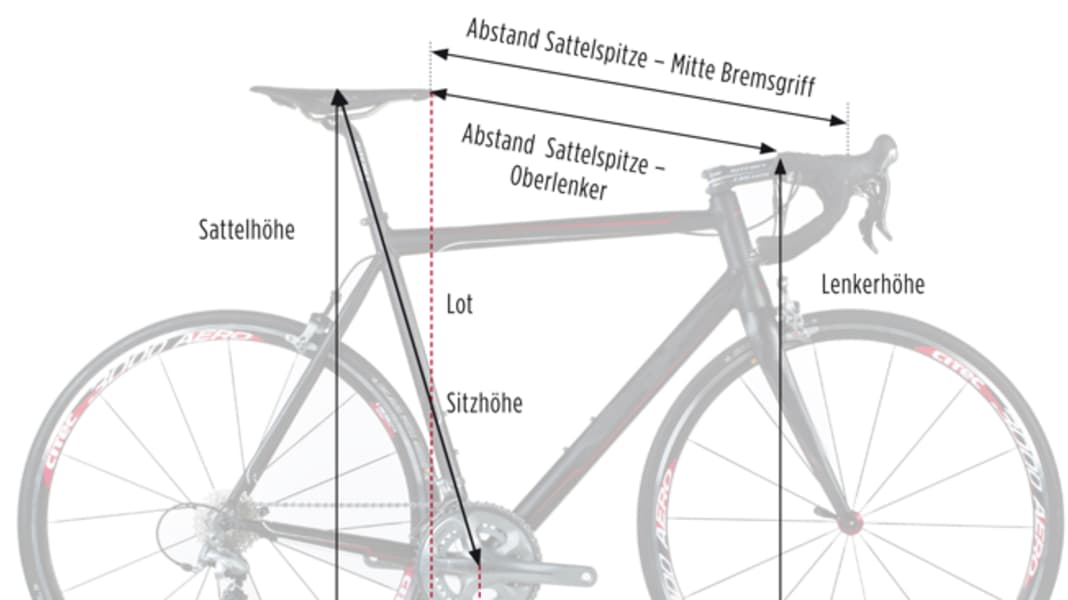 Rennrad-Kauf: Welche Rahmengröße beim Rennrad brauche ich?