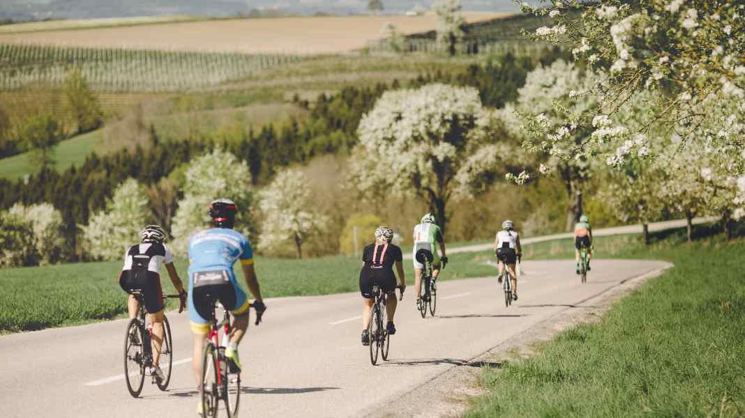 Servus in der Rennradregion Wels – Go where the locals go