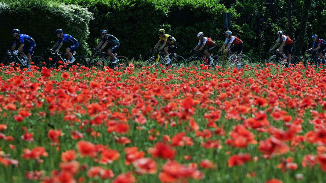 Italien-Rundfahrt - Ackermann im Sprint chancenlos