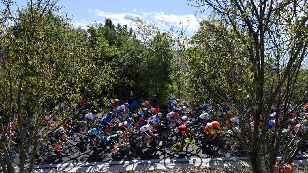 Radverband ändert Regeln für Teilnahme von Transfrauen