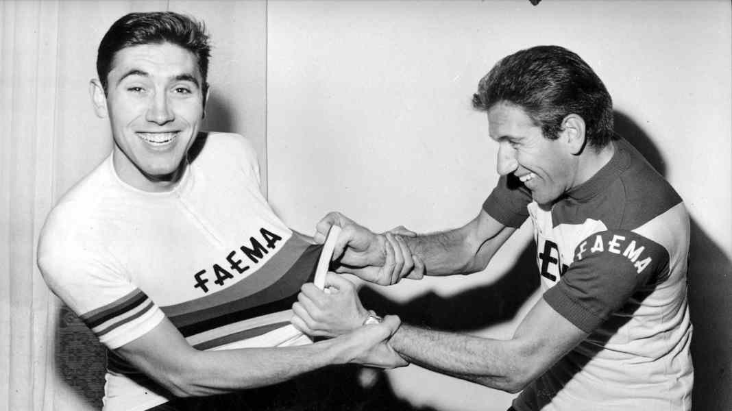 Kaufberatung: Radtrikots im Retro-Look