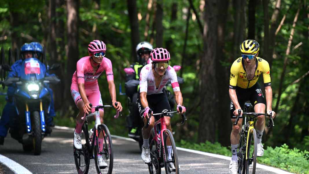 Finestre-Fiasko für UAE: Sportlicher Leiter gesteht Fehler ein