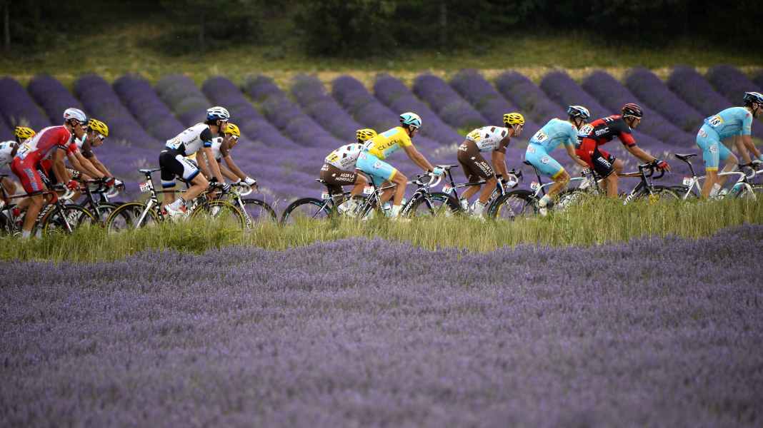 Tour de France 2025 - 17. Etappe: Voigts Vorschau: Letzte Sprintchance dieser Tour