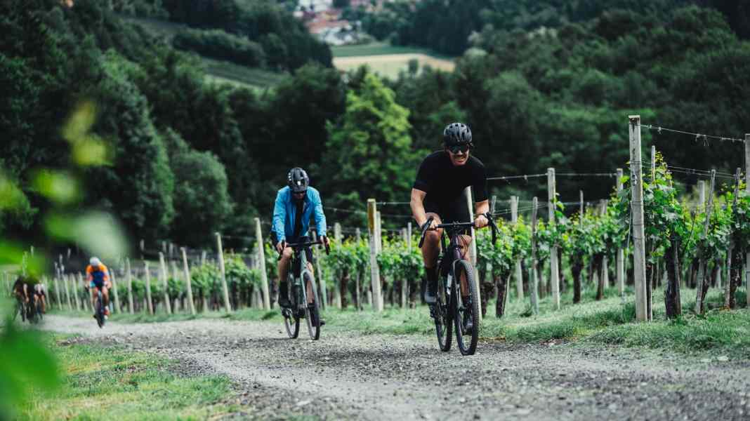 Gravelei 2026: Gestörte und Wilde in der Südsteiermark
