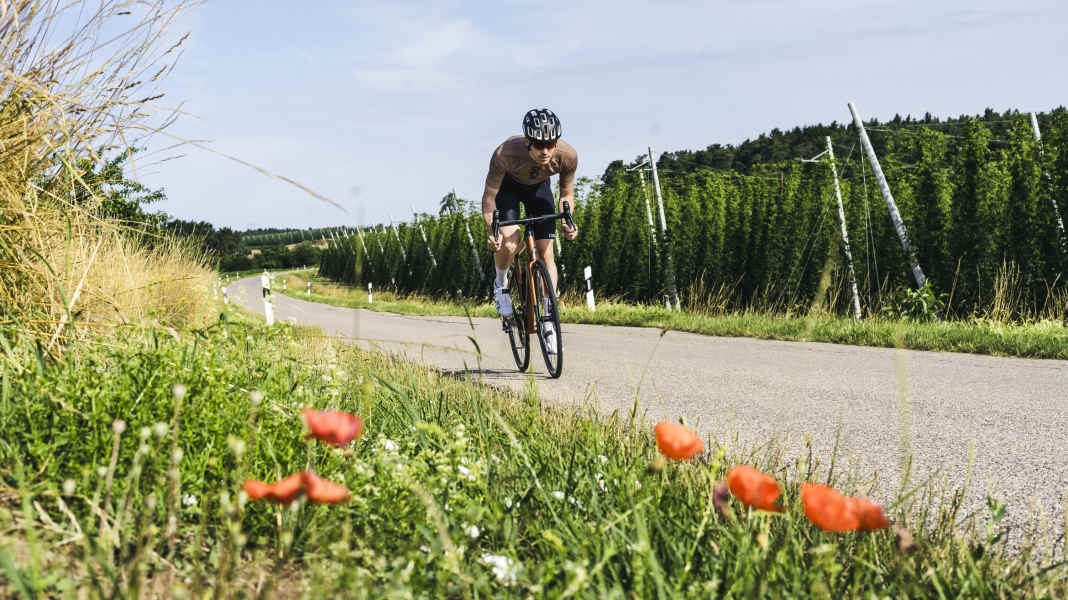 TOUR-Leserbefragung 2024: Die Rennradwelt in Zahlen