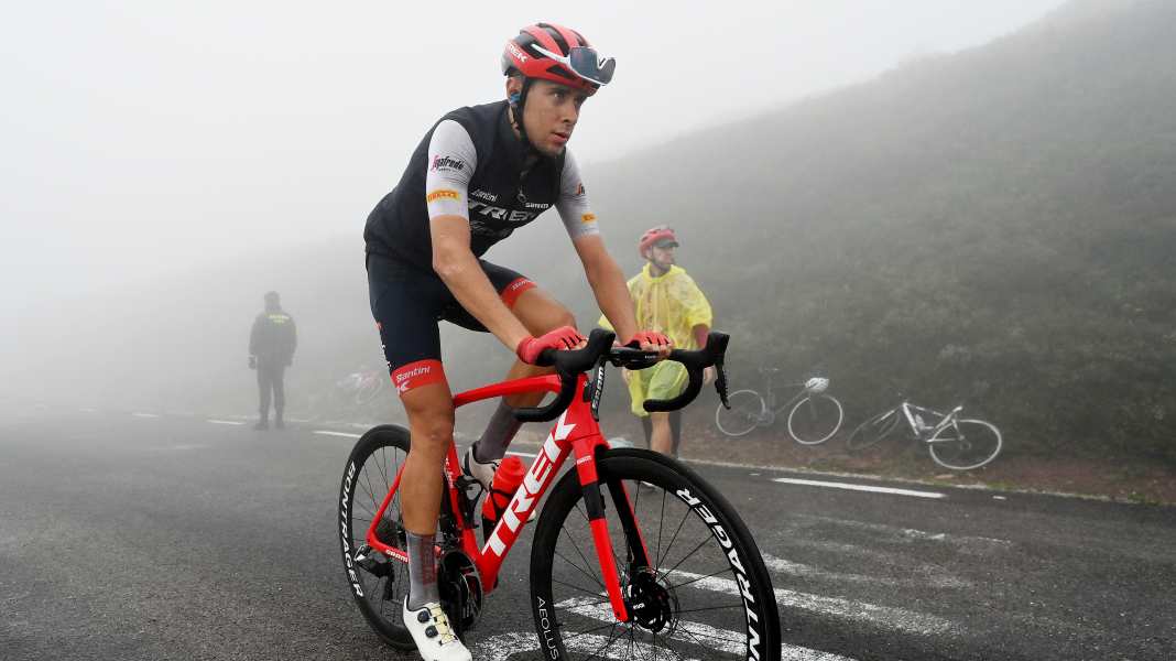 Un chat abattu par un ministre : Amende pour le cycliste professionnel Tiberi