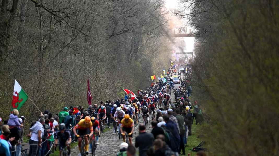 Paris-Roubaix 2024 : chicane avant la forêt d'Arenberg