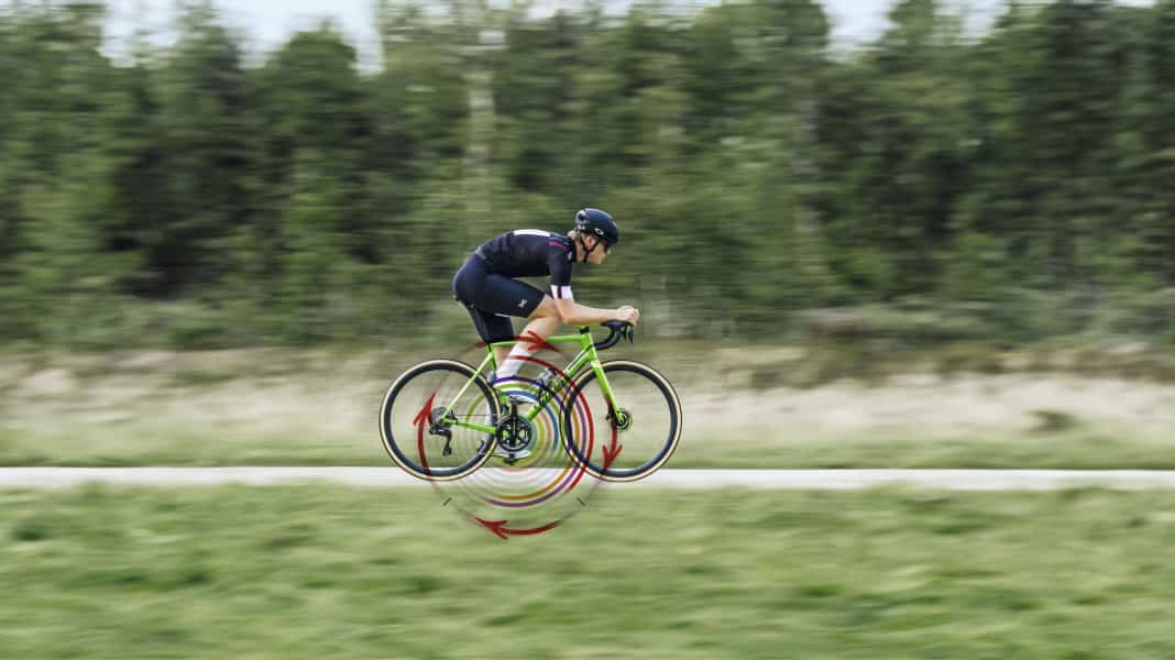 Targeted training management: Variation in training frequency – what’s behind it