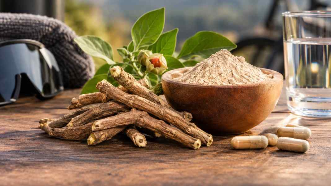 Ashwagandha: Experten warnen vor den Schlafbeeren-Präparaten | BIKE
