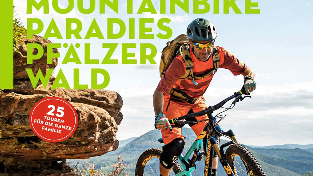 25 tours for the whole family: mountain bike paradise in the Palatinate Forest