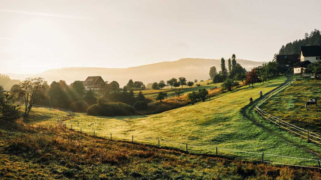 Low mountain trips: 6 tours for mountain bikers - MTB spots in Germany