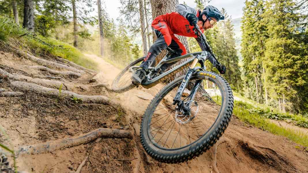 Suspension setup on an MTB: How do suspension forks and shocks work?