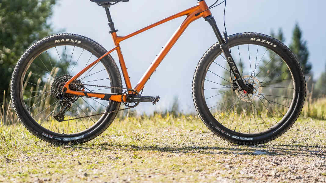 Test bestseller bikes 2023: Trail bike Giant Fathom 1