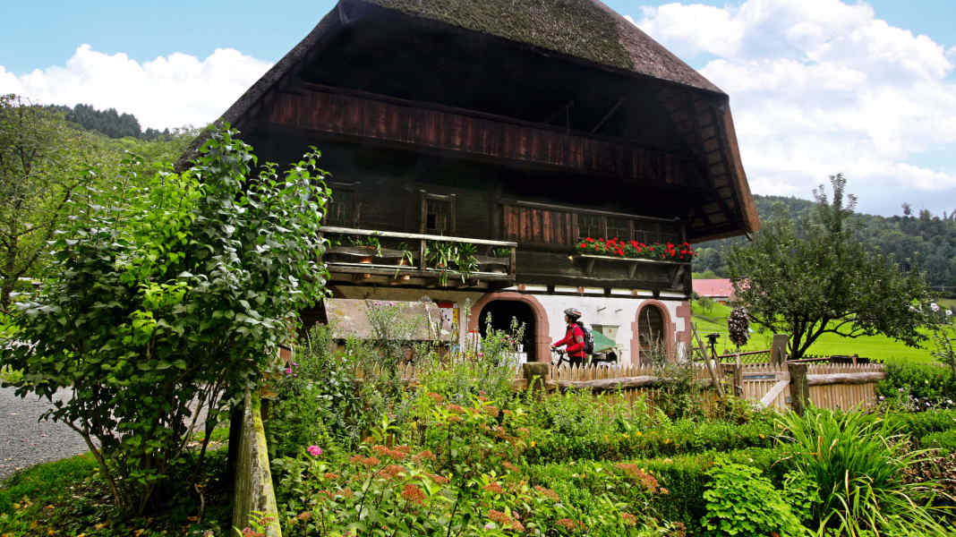 Cycle tour through the Central Black Forest