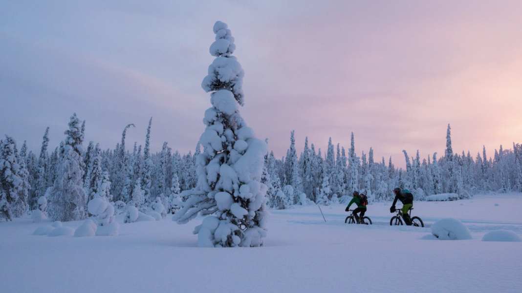 Winter Sale - MTB-Angebote im Februar