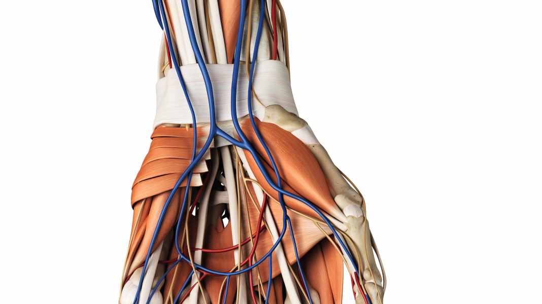 Causes of painful hands