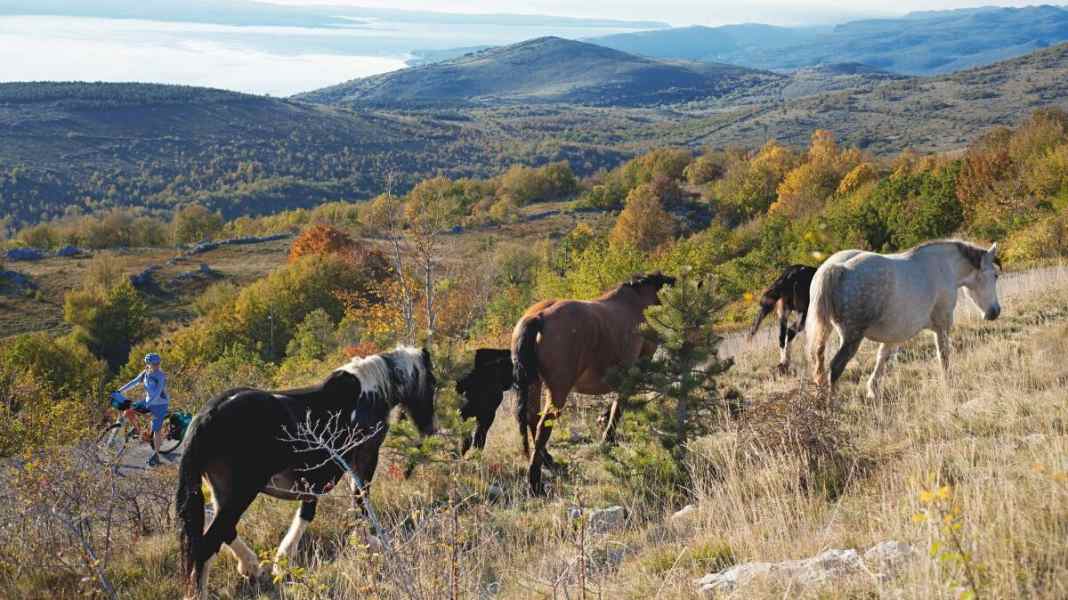 Radtour durch das Kroatische Bergland