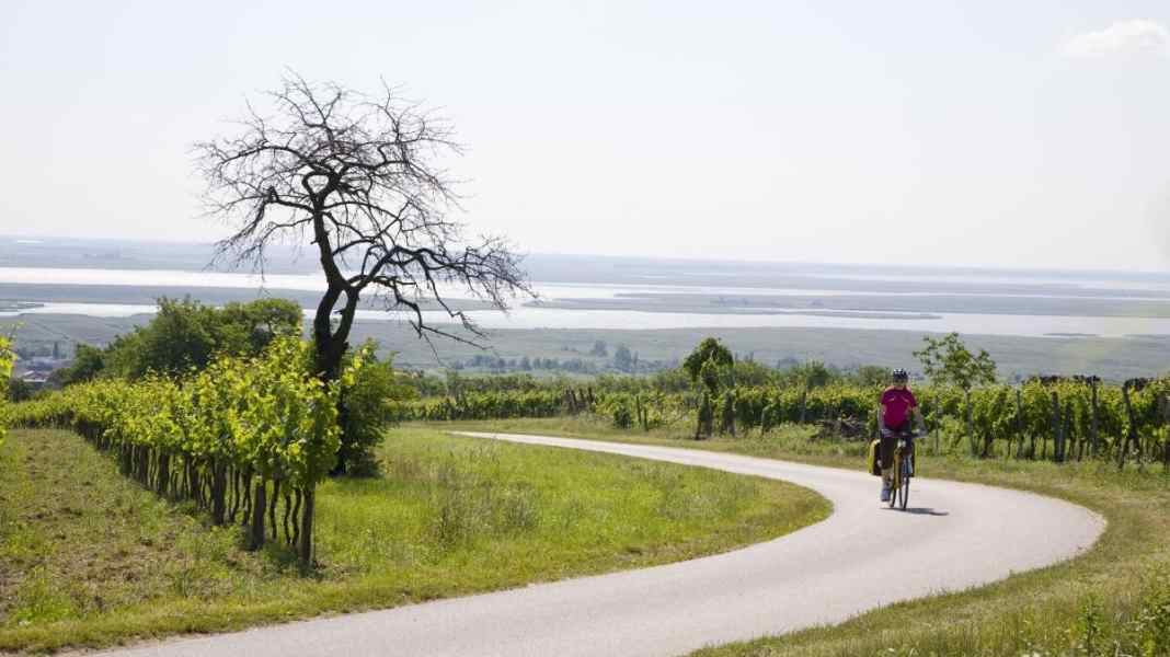 Cycle tour from Lake Neusiedl to Vienna