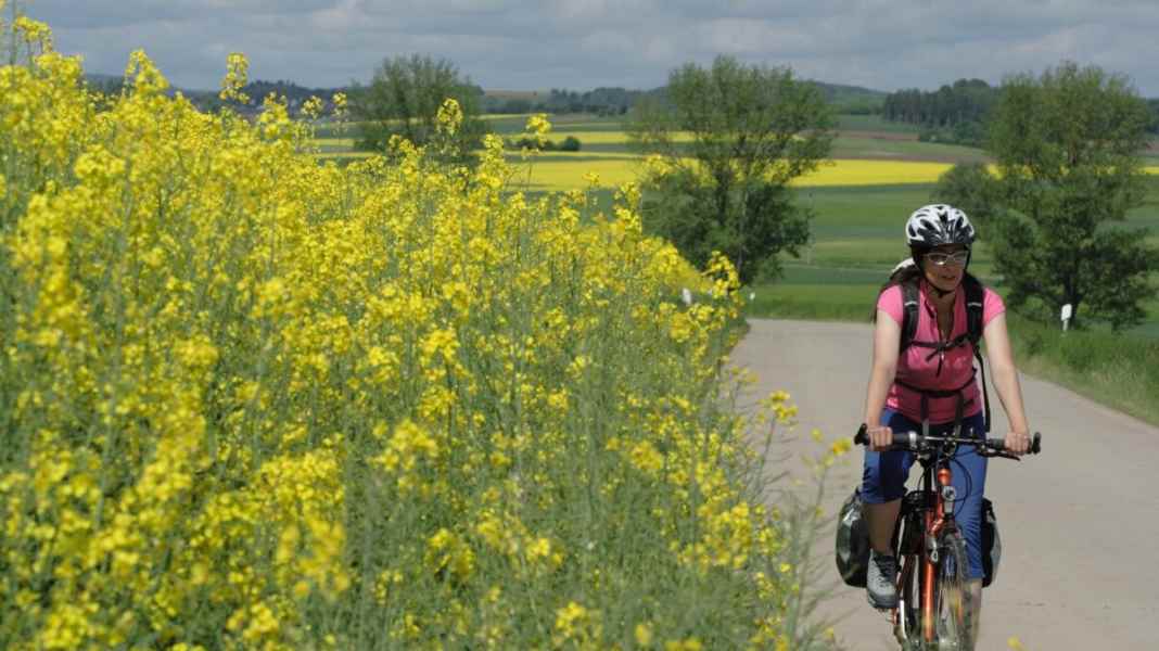 On the Ries cycle path through an old meteorite crater
