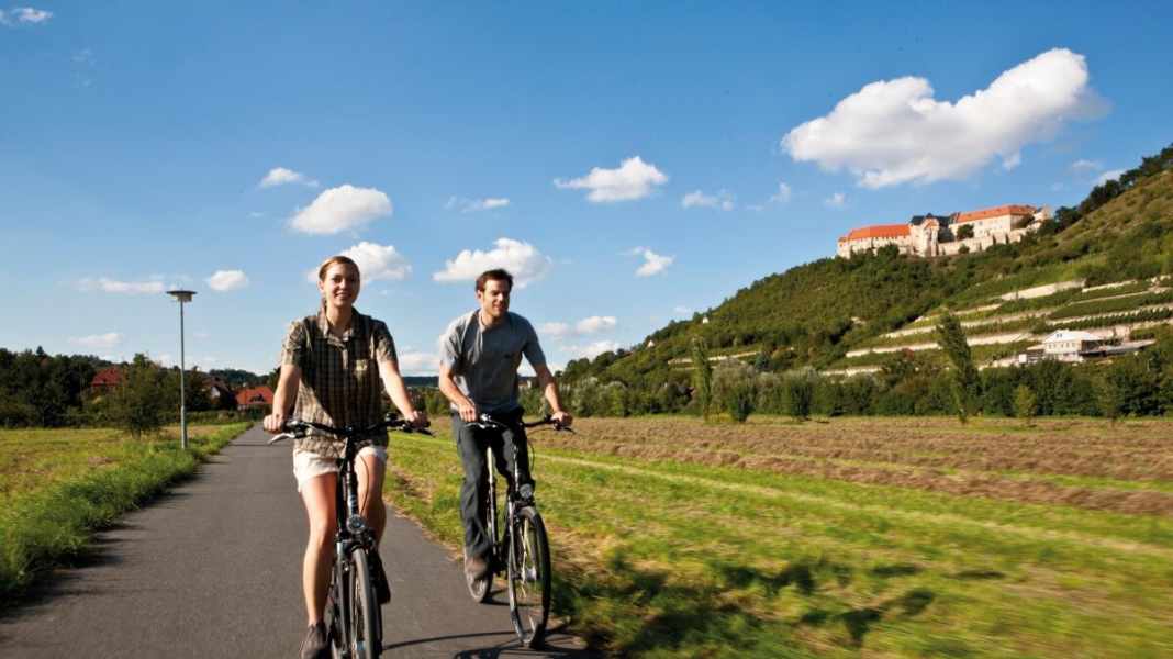 On the Unstrut cycle path through the wine-growing region