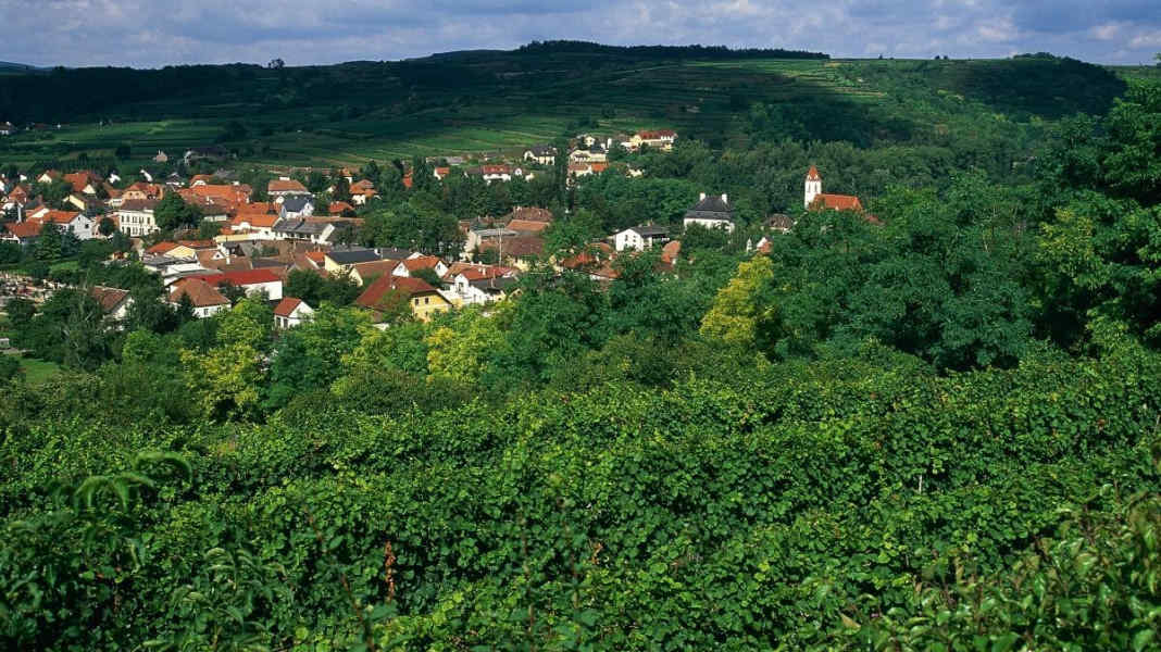 Niederösterreichs längste Route durchs Wein- und Waldviertel