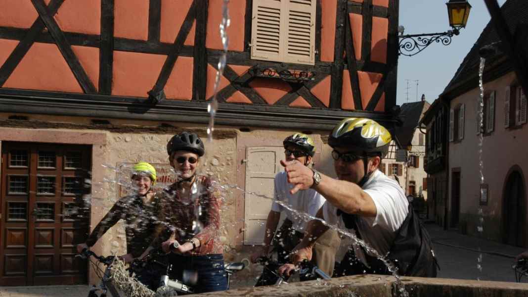 187 kilometres on the Alsace Wine Route cycle route