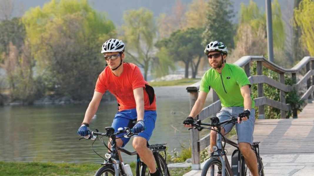 Touren-Pedelecs der Trekkingbike-Marken