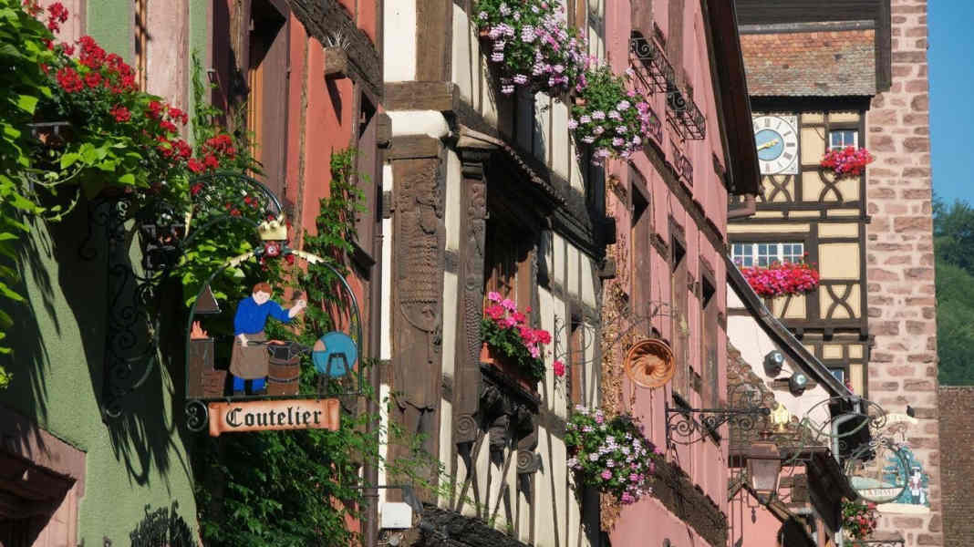 Route des Vins – Radrundweg durch Weinberge