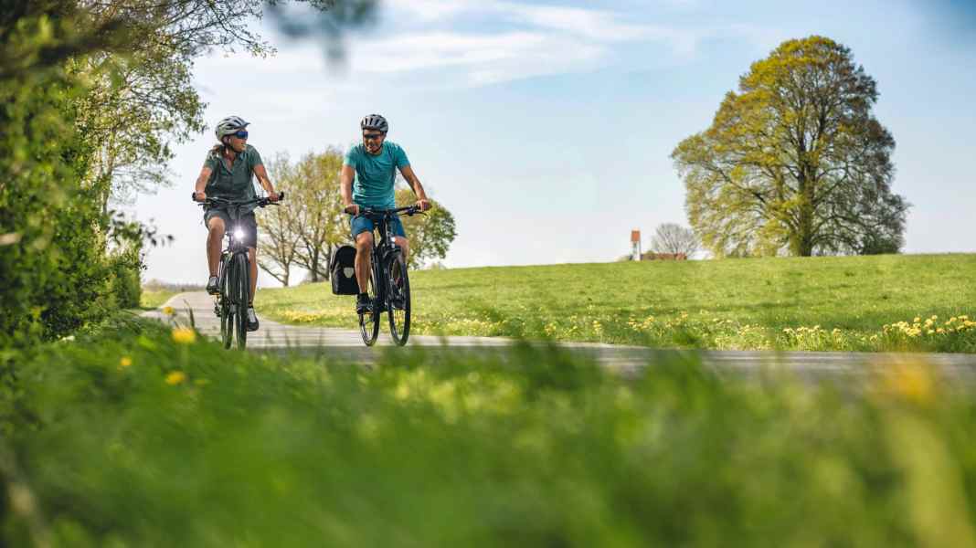 XT-Räder: 8 Modelle im Test