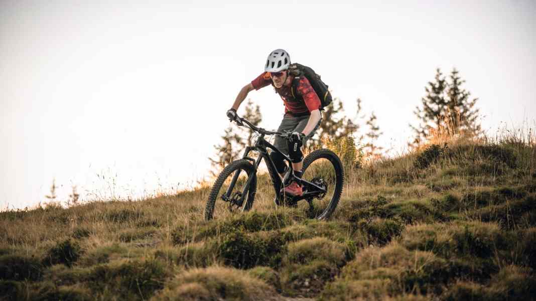 Damper in the frame: Bold Unplugged Volume 2 in the test