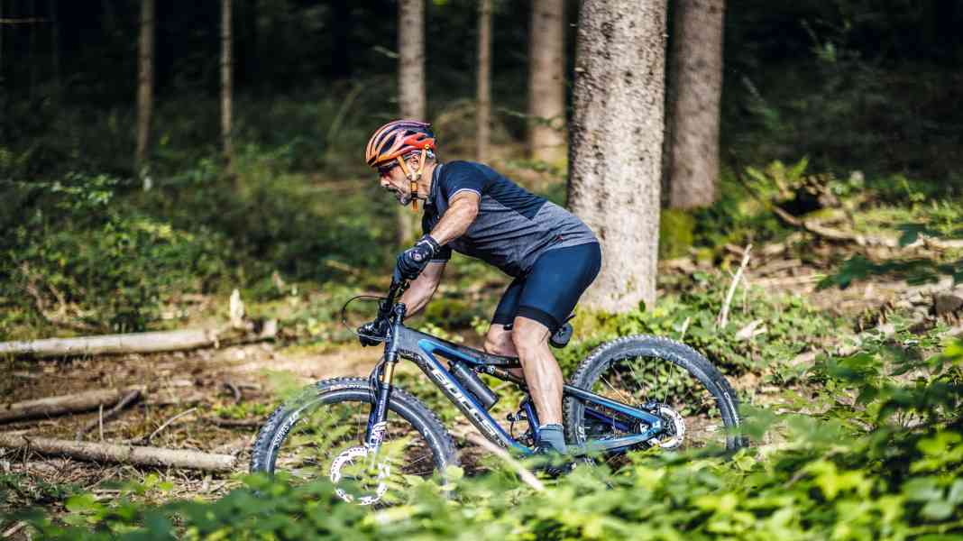 Bulls Wild Ronin Team in long-term test