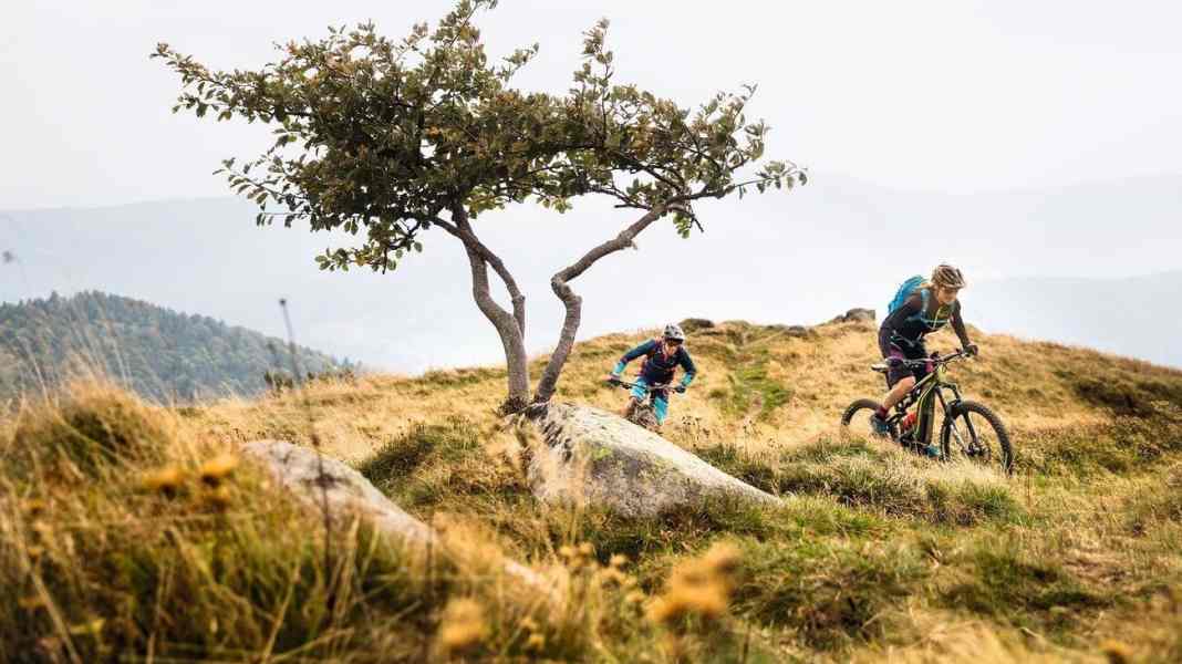 France: Riding the waves through the Vosges