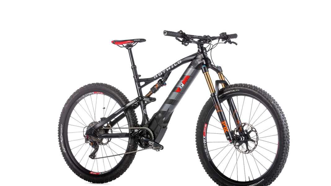 Pure design: Rotwild R.C+FS Evo on test