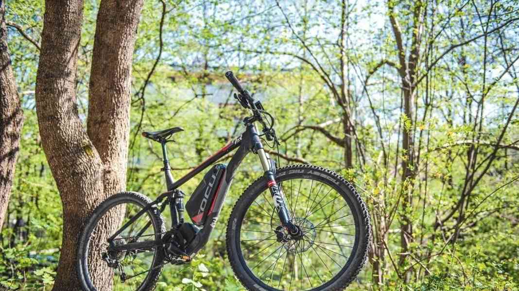 Endurance test: the E-MTB Focus Thron