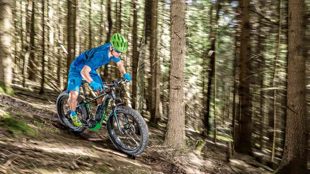 Fatbike Bulls Monster ES im Test