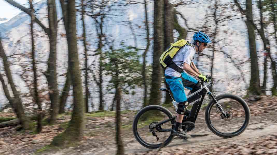 Transalp-Bike Riese & Müller Delite Mountain im Test