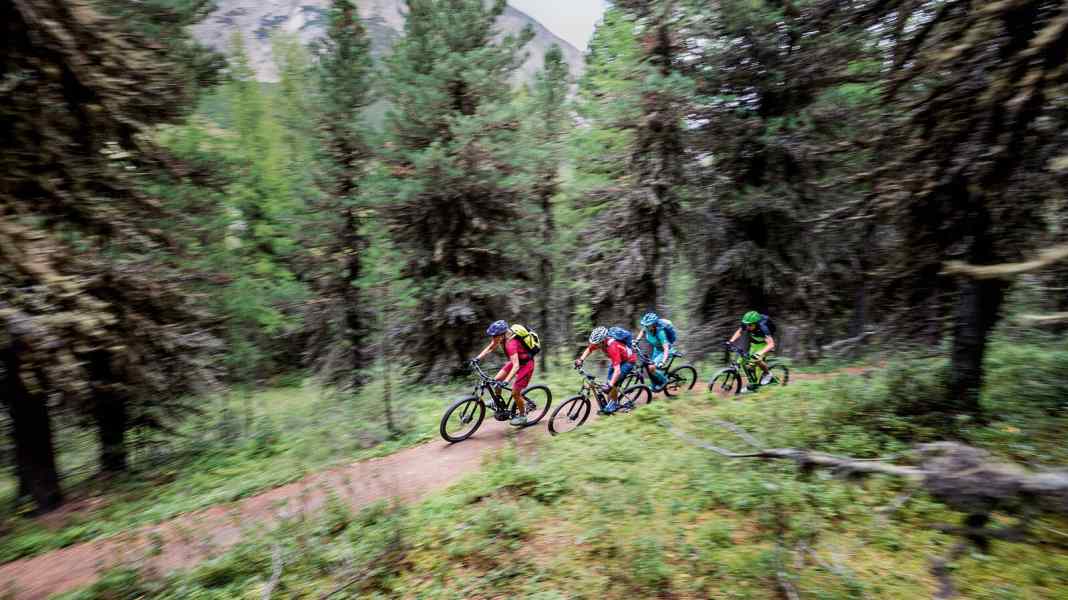 E-MTBs: 9 Einsteiger Hardtails im Labor- und Praxistext