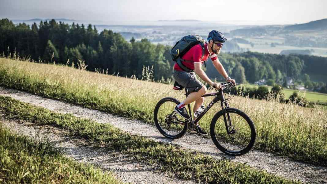 E-Mountainbike Vivax Optimo im Praxistest